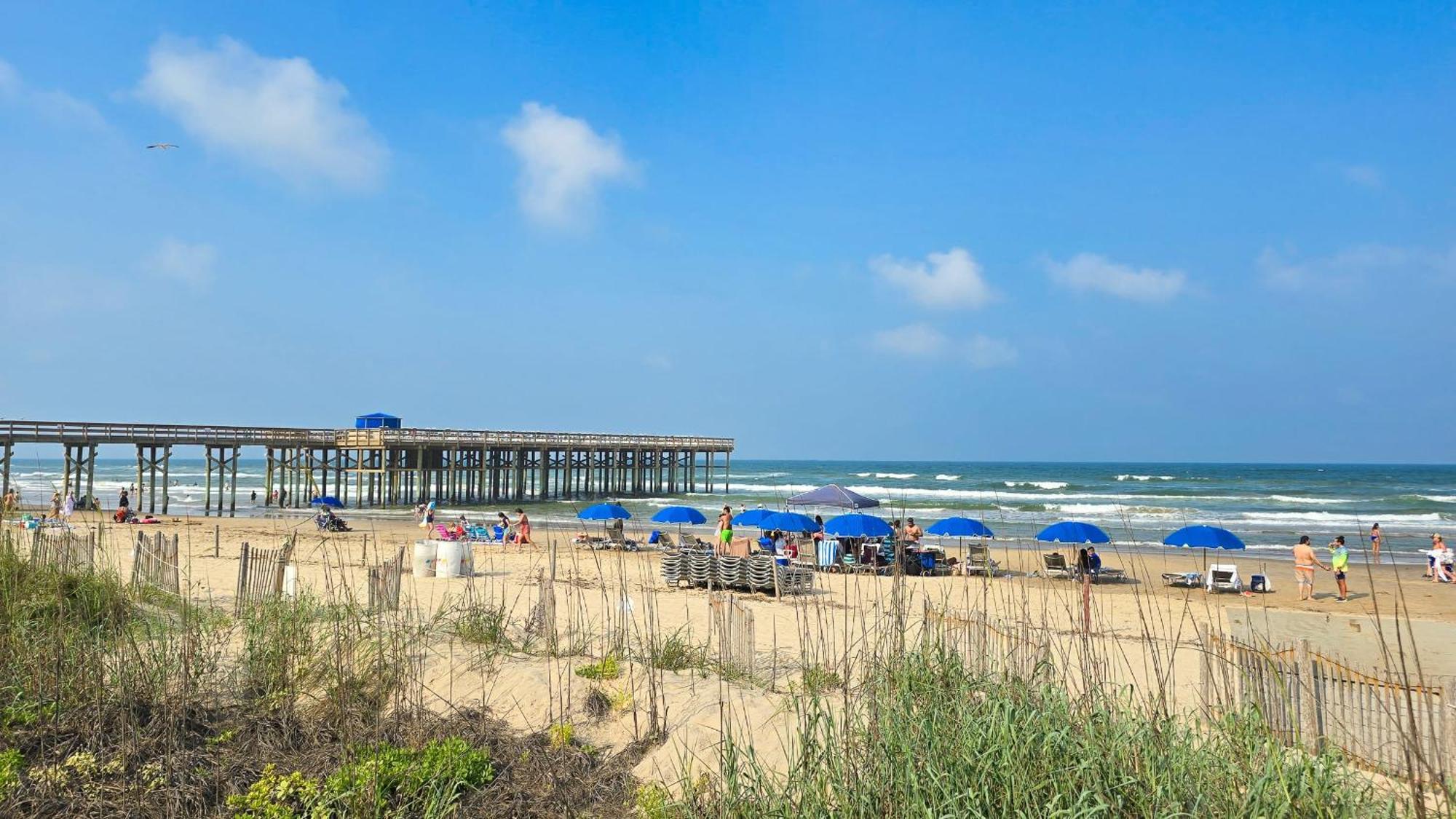 Herons Haven Coastal Elegance With Pool Access 223 Саут Падре Алънд Екстериор снимка