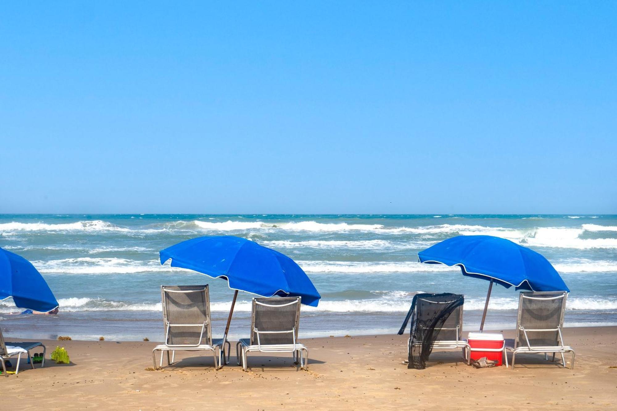 Herons Haven Coastal Elegance With Pool Access 223 Саут Падре Алънд Екстериор снимка